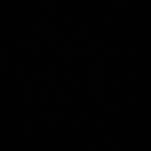 Meet your Posher, Dee